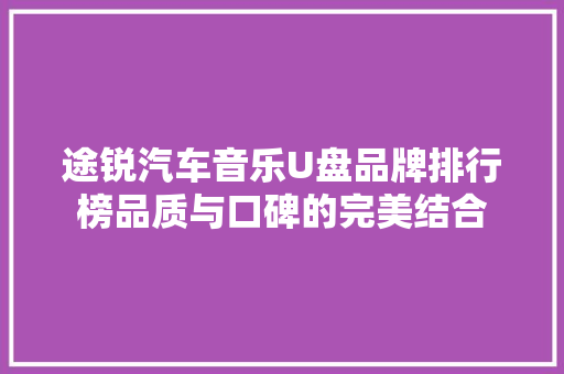 途锐汽车音乐U盘品牌排行榜品质与口碑的完美结合
