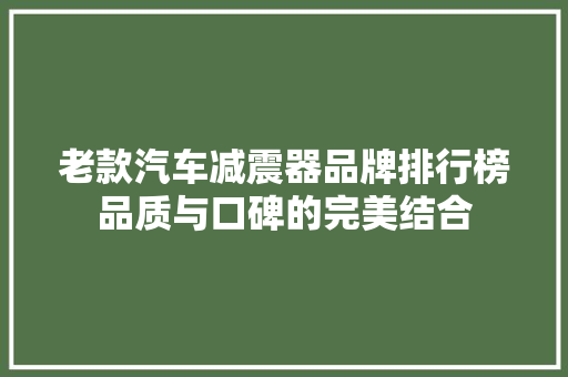 老款汽车减震器品牌排行榜品质与口碑的完美结合