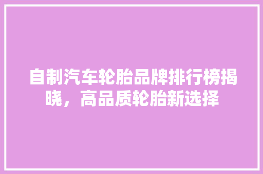 自制汽车轮胎品牌排行榜揭晓，高品质轮胎新选择