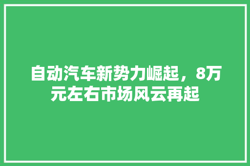 自动汽车新势力崛起，8万元左右市场风云再起