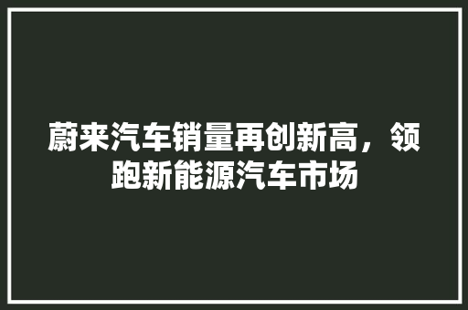 蔚来汽车销量再创新高，领跑新能源汽车市场
