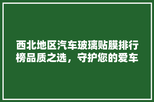 西北地区汽车玻璃贴膜排行榜品质之选，守护您的爱车