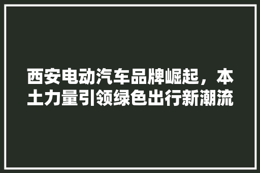 西安电动汽车品牌崛起，本土力量引领绿色出行新潮流