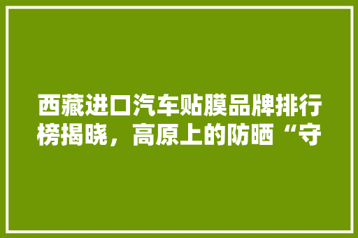 西藏进口汽车贴膜品牌排行榜揭晓，高原上的防晒“守护神”