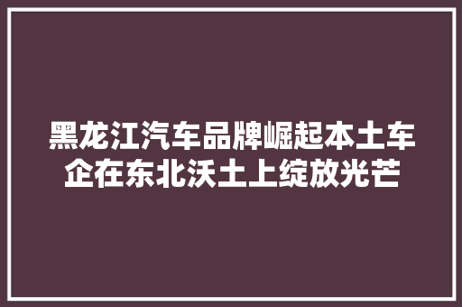 黑龙江汽车品牌崛起本土车企在东北沃土上绽放光芒