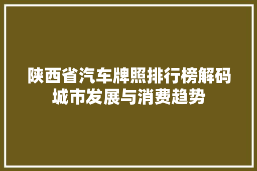 陕西省汽车牌照排行榜解码城市发展与消费趋势