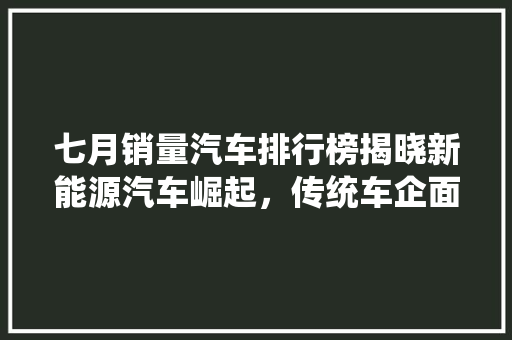 七月销量汽车排行榜揭晓新能源汽车崛起，传统车企面临挑战
