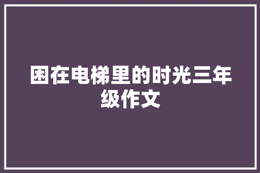 中国二手汽车市场盘点最新保有量排行榜，探寻汽车消费新趋势