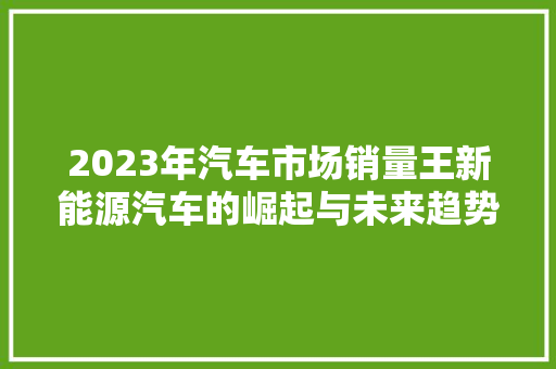 2023年汽车市场销量王新能源汽车的崛起与未来趋势