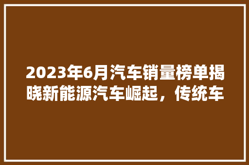 2023年6月汽车销量榜单揭晓新能源汽车崛起，传统车企面临挑战