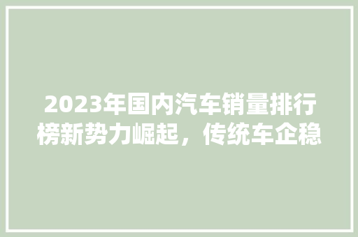 2023年国内汽车销量排行榜新势力崛起，传统车企稳扎稳打