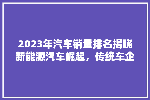 2023年汽车销量排名揭晓新能源汽车崛起，传统车企面临挑战