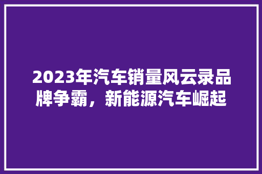 2023年汽车销量风云录品牌争霸，新能源汽车崛起