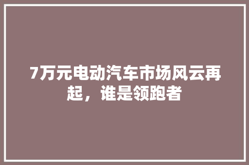 7万元电动汽车市场风云再起，谁是领跑者