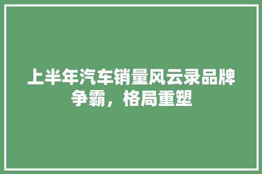 上半年汽车销量风云录品牌争霸，格局重塑