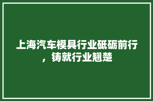 上海汽车模具行业砥砺前行，铸就行业翘楚