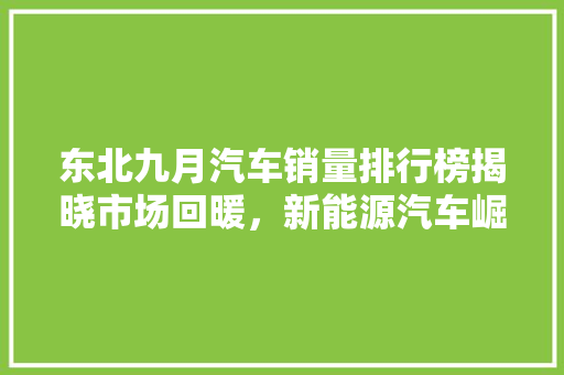东北九月汽车销量排行榜揭晓市场回暖，新能源汽车崛起