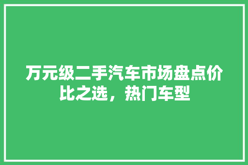 万元级二手汽车市场盘点价比之选，热门车型