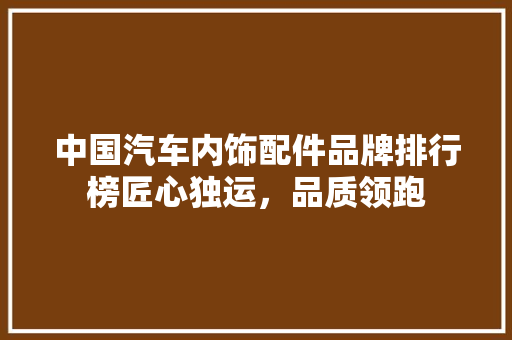 中国汽车内饰配件品牌排行榜匠心独运，品质领跑
