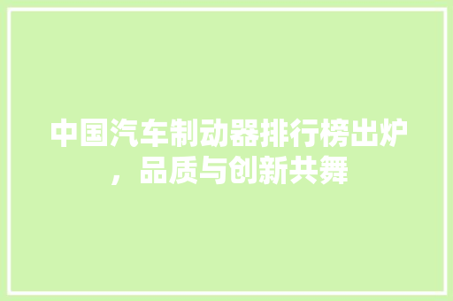 中国汽车制动器排行榜出炉，品质与创新共舞