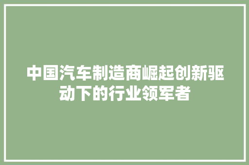 中国汽车制造商崛起创新驱动下的行业领军者