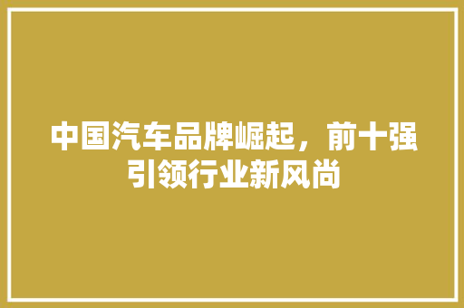 中国汽车品牌崛起，前十强引领行业新风尚
