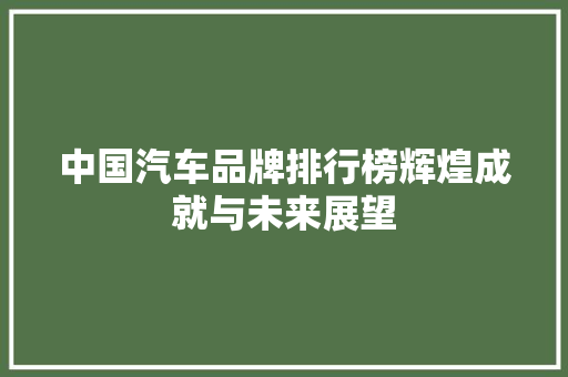 中国汽车品牌排行榜辉煌成就与未来展望