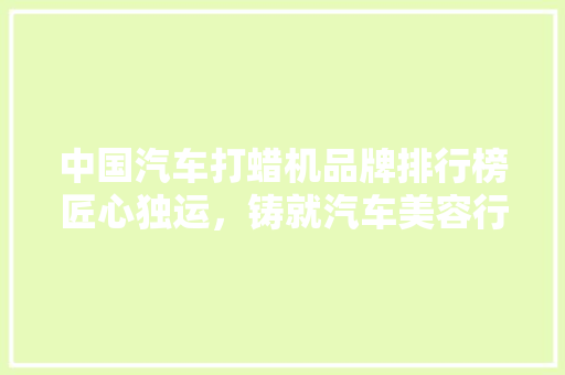 中国汽车打蜡机品牌排行榜匠心独运，铸就汽车美容行业新篇章