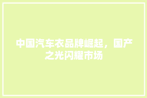 中国汽车衣品牌崛起，国产之光闪耀市场
