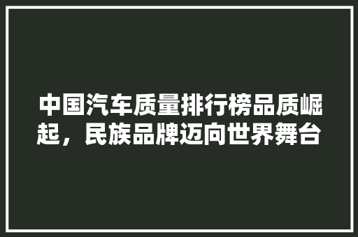 中国汽车质量排行榜品质崛起，民族品牌迈向世界舞台