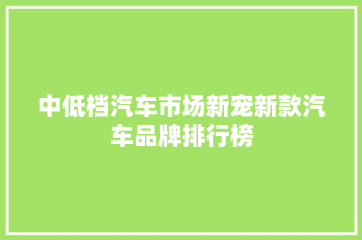 中低档汽车市场新宠新款汽车品牌排行榜