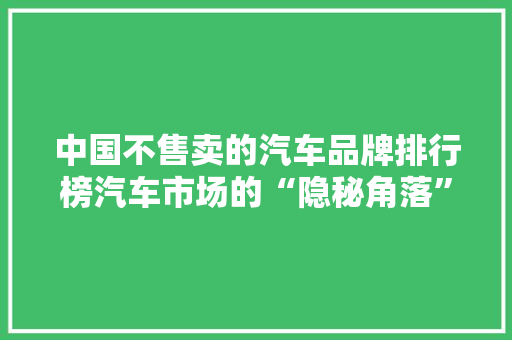 中国不售卖的汽车品牌排行榜汽车市场的“隐秘角落”