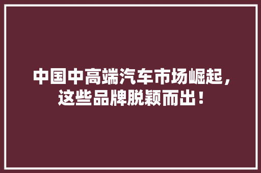 中国中高端汽车市场崛起，这些品牌脱颖而出！