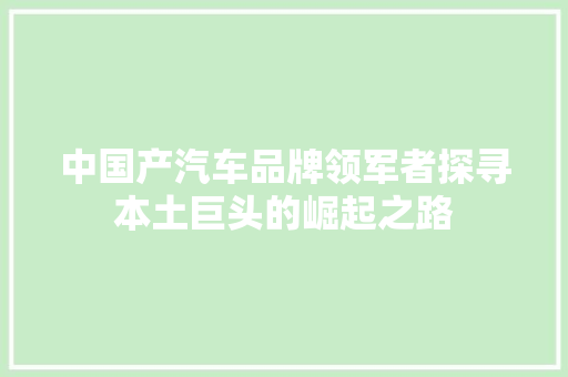 中国产汽车品牌领军者探寻本土巨头的崛起之路