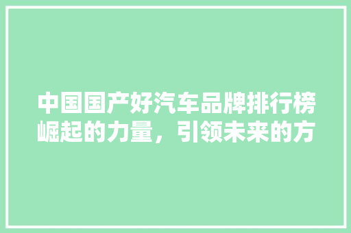 中国国产好汽车品牌排行榜崛起的力量，引领未来的方向