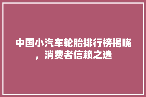 中国小汽车轮胎排行榜揭晓，消费者信赖之选
