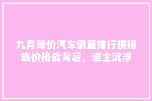 九月降价汽车销量排行榜揭晓价格战背后，谁主沉浮