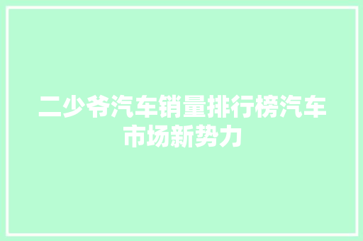 二少爷汽车销量排行榜汽车市场新势力