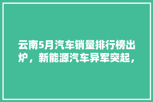 云南5月汽车销量排行榜出炉，新能源汽车异军突起，传统车企面临挑战