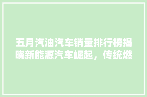 五月汽油汽车销量排行榜揭晓新能源汽车崛起，传统燃油车面临挑战