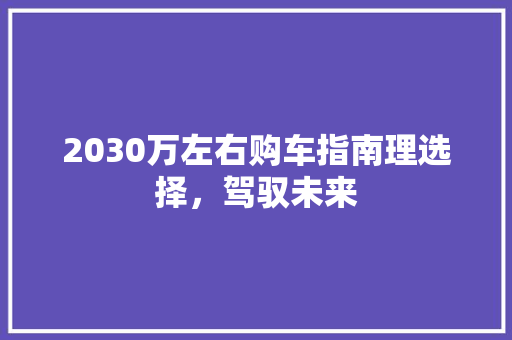 2030万左右购车指南理选择，驾驭未来