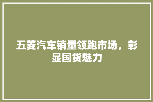 五菱汽车销量领跑市场，彰显国货魅力