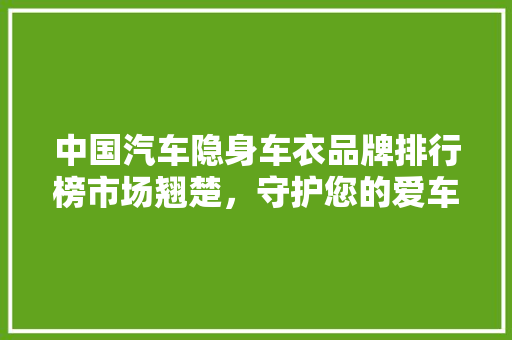 中国汽车隐身车衣品牌排行榜市场翘楚，守护您的爱车