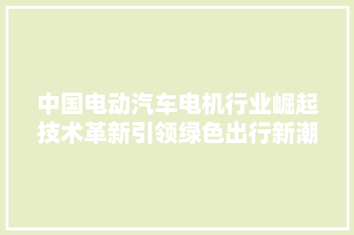 中国电动汽车电机行业崛起技术革新引领绿色出行新潮流