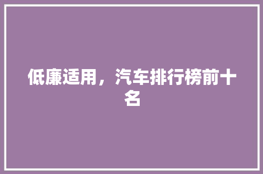 低廉适用，汽车排行榜前十名