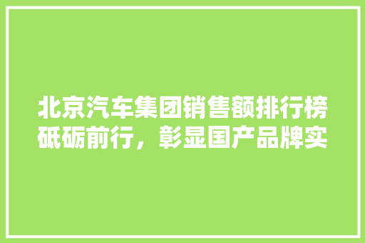 北京汽车集团销售额排行榜砥砺前行，彰显国产品牌实力