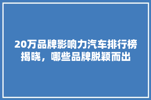 20万品牌影响力汽车排行榜揭晓，哪些品牌脱颖而出