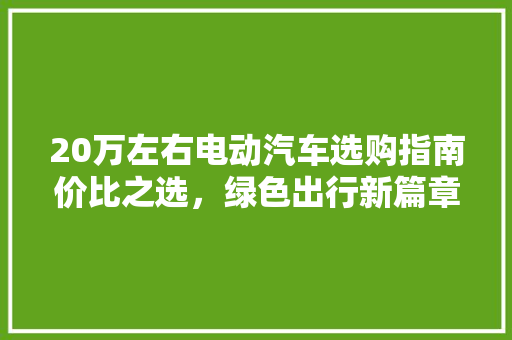 20万左右电动汽车选购指南价比之选，绿色出行新篇章
