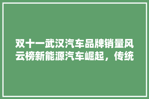 双十一武汉汽车品牌销量风云榜新能源汽车崛起，传统豪强稳坐江山