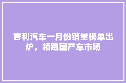 吉利汽车一月份销量榜单出炉，领跑国产车市场